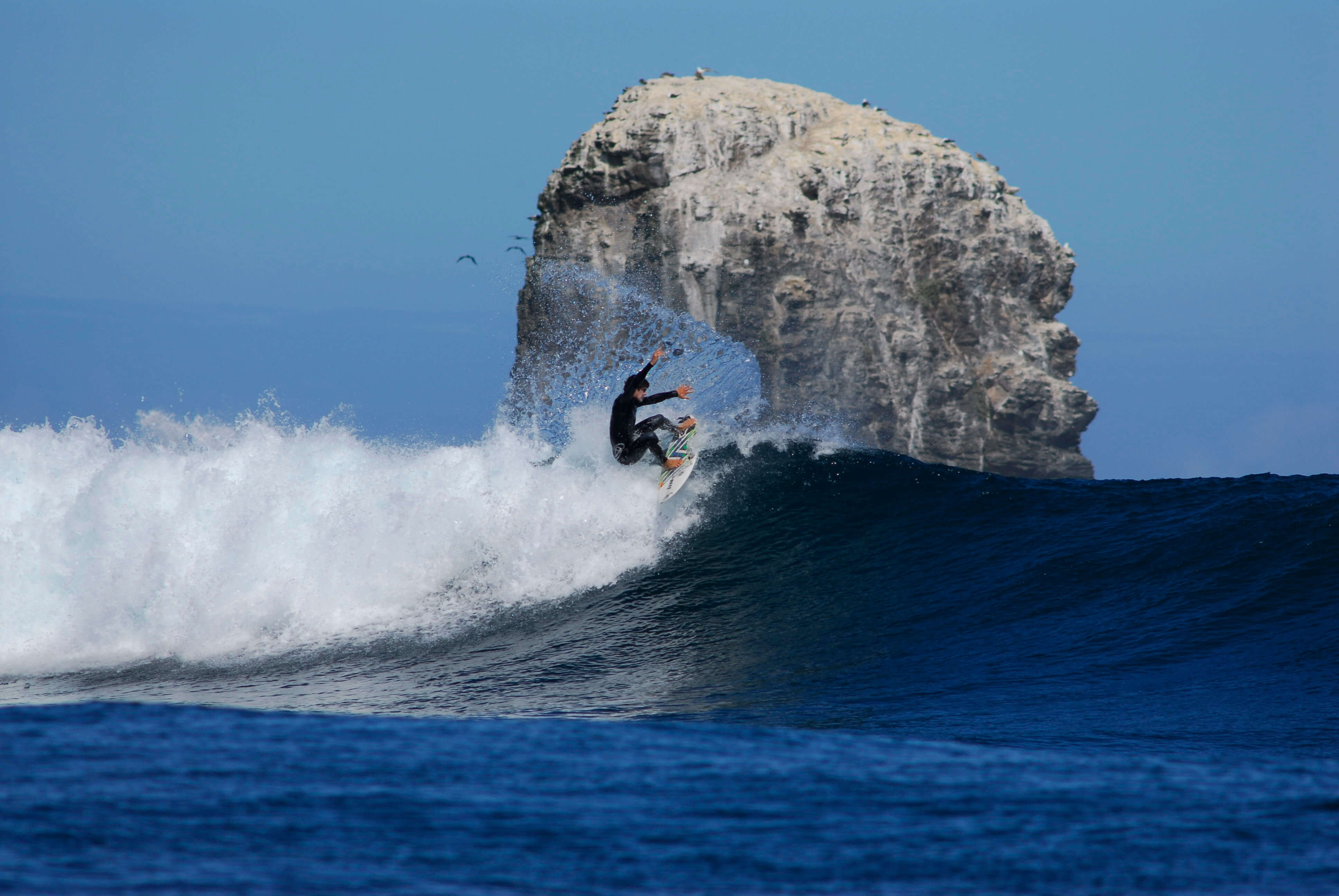 surf2